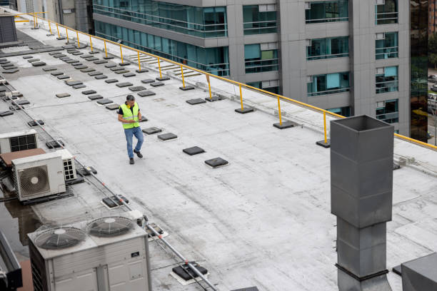 Professional Roofing Services in Belvedere, CA
