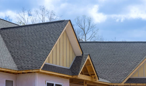 Best Roof Maintenance and Cleaning  in Belvedere, CA